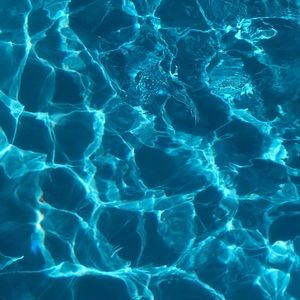 Meet your Posher, Ava